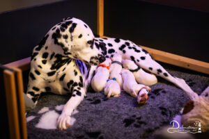 Day_01-9287