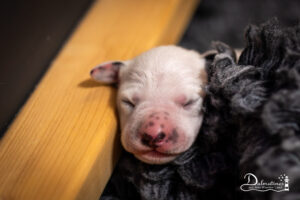 Day_05-9307