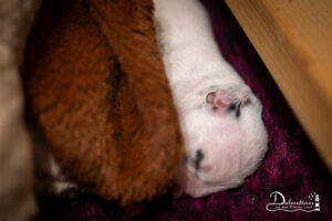 Day_05-9311