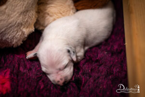 Day_05-9312