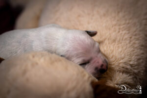 Day_05-9313