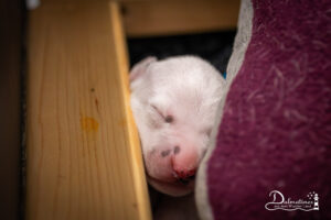 Day_06-9324