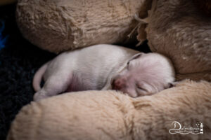 Day_06-9337
