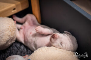 Day_07-9479