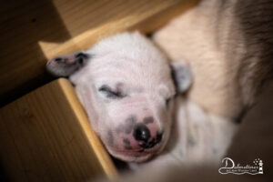Day_08-9530