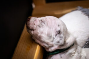 Day_12-9622